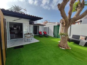a yard with green grass and a tree at Bungalow privado junto al Yumbo Centre in San Bartolomé de Tirajana