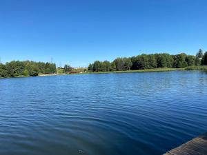 a view of a large lake with trees in the background at Agro Komfort in Bakałarzewo