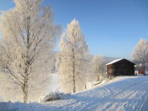 Το Sörnäsgården Bed & Breakfast τον χειμώνα