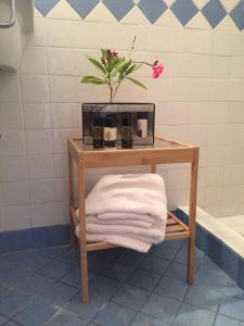a table with a plant on it in a bathroom at Villa Luminosa Kyra Panagia in Kyra Panagia +34 photos