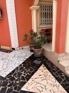 a house with two potted plants on the floor at Serene Room and Living Room in Serekunda