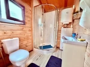 ein Badezimmer mit Dusche, Toilette und Waschbecken in der Unterkunft Dębowy Zakątek in Olsztyn