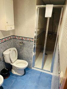 a bathroom with a toilet and a shower at Miguel Servet con GARAJE INCLUIDO in Zaragoza