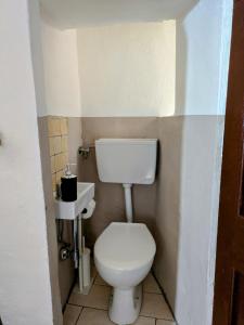 a small bathroom with a toilet and a sink at Il Muro d'Oro in San Dalmazio +19 photos