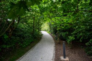 a winding path through a forest with trees at Yurt with Hot Tub near Hartington, Peak District in Buxton
