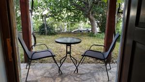 Ein Garten an der Unterkunft Rustic Home Maslenica