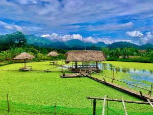 a field with some grass umbrellas and some water at Nếp homestay in Làng Xa