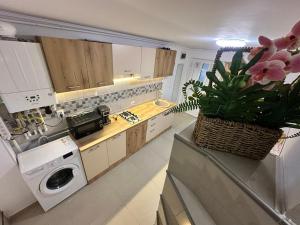 a kitchen with a washer and a plant on a counter at Apartament A2 - EVIM in Mangalia