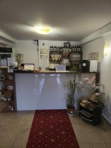 a counter in a store with a red rug in a room at Pensiunea Alex in Cheia