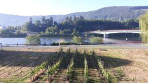 a view of a river with a bridge in the background at Ferienhaus in Mehring in Mehring