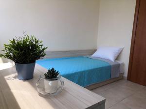 Fotografie z fotogalerie ubytování Almond Apartments v destinaci Orfánion