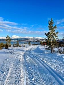 a snow covered road with tracks in the snow at EideKollen in Tromsø +12 photos