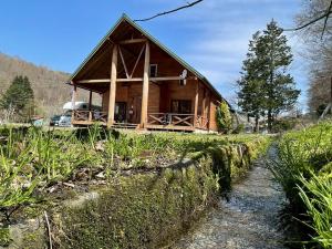 Příroda nedaleko chaty