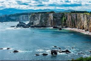 Naturlandskabet i nærheden af lejligheden
