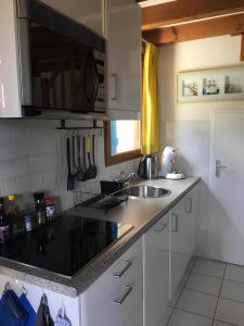 eine Küche mit Spüle und Mikrowelle in der Unterkunft Villa OCELANDES in Saint-Julien-en-Born