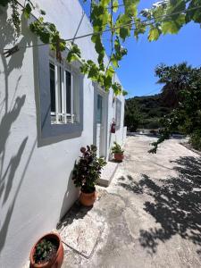 Fotografie z fotogalerie ubytování Dionysia Studios v destinaci Kefalos + 97 fotografií