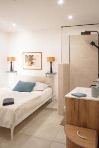 a bedroom with a large bed and a bath tub at Appartement Centre-Ville in Avignon