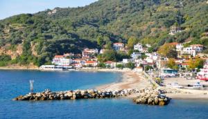 a beach with a group of animals on the water at MarKaMar in Loutraki +20 photos