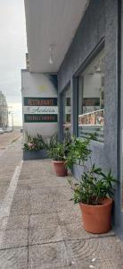 Φωτογραφία από το άλμπουμ του Acacia hotel σε Laguna