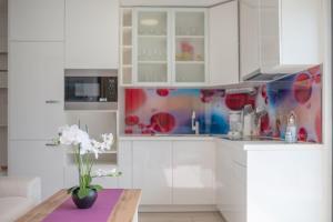 Kuchyň nebo kuchyňský kout v ubytování Apartments Palada 1