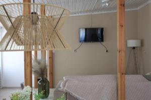 TV a/nebo společenská místnost v ubytování LAXD Summer House