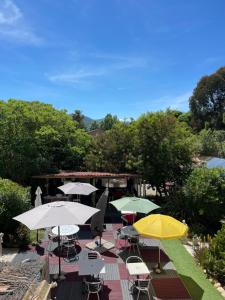 Gallery image of Hotel Clair Logis in Argelès-sur-Mer +79 photos