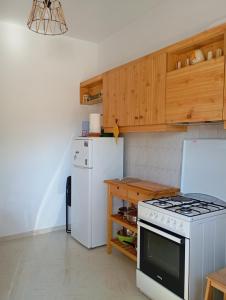Η κουζίνα ή μικρή κουζίνα στο Green House