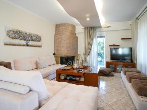 a living room with a couch and a fireplace at Villa Elysian in Antimácheia