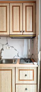 Kuchyň nebo kuchyňský kout v ubytování Duka Rooms