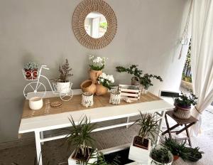 Gallery image of Nopi Rooms in Olympiaki Akti