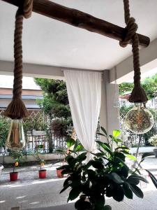 Gallery image of Nopi Rooms in Olympiaki Akti +14 photos