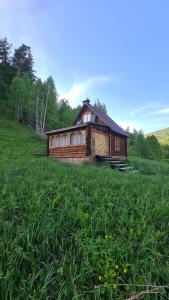 a wooden cabin in a field of green grass at Таежный домик Васильево in Poperechnoye