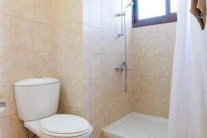 a bathroom with a toilet and a shower at Villa Monika by Villa Plus in Prodhromi +16 photos