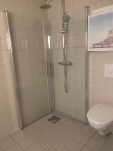 a bathroom with a shower and a toilet at Peer Gynts vei 77 in Moss