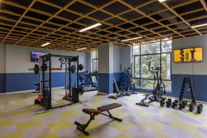 Γυμναστήριο ή/και όργανα γυμναστικής στο Dreams in Sunshine Alba by YourHost 1 bedNairobi