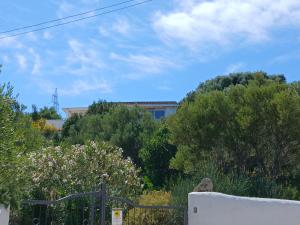 a view of a hill with trees and a building at Villa Ginepro in Olbia