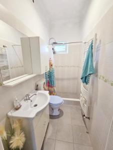 a white bathroom with a toilet and a sink at Teglas Apartment in Mediaş