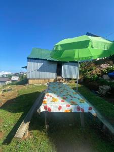 a picnic table with an umbrella in the grass at Gomis mta house in Itʼkhvisi