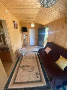 a living room with a couch and a rug at Gomis mta house in Itʼkhvisi +5 photos
