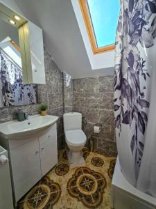a bathroom with a toilet and a sink and a skylight at Pokoje gościnne KOGA in Nickelswalde