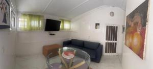 Μια τηλεόραση ή/και κέντρο ψυχαγωγίας στο Appartement F2 moderne et tout équipé