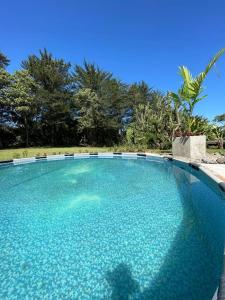 Hồ bơi trong/gần Hotel Padua