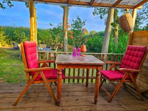 two chairs and a table on a deck at natuur huisje in Anloo +23 photos