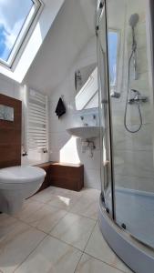 a bathroom with a shower and a toilet and a sink at Willa Jarmar - sala kominkowa z bilardem, wewnętrzny oraz zewnętrzny plac zabaw in Brenna +165 photos