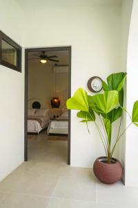 Una planta en un jarrón en una habitación con dormitorio. en Sélanna, en El Paredón Buena Vista 33 fotos más