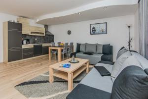 a living room with a couch and a table at Apartmani Sanja in Vir