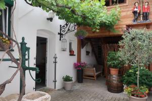 a courtyard of a house with potted plants at Casa Zara in Mörbisch am See