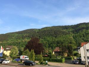 Galeriebild der Unterkunft Ferienwohnung Wand in Bad Lauterberg