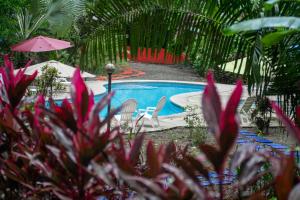 Bazén v ubytování Selva Color - Forest & Beach EcoLodge nebo v jeho okolí + 14 fotografií