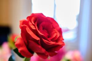 Gallery image of Au printemps Japonais in Pierre-Châtel +24 photos